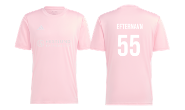 Hestlund Spilletrøje 25/26